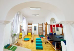 centrelor de sănătate mintală