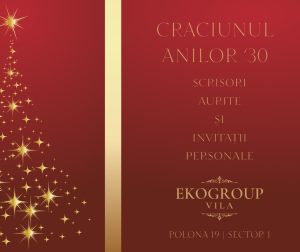 Eko Group Vila: O Evocare a Eleganței Crăciunului Anilor '30